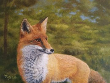 The Inquisitive Fox 12" x 16" Framed, The fox looking out over the hillside area in search of food.