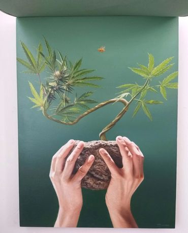 Pintura al óleo. Hiperrealismo. Manos sosteniendo bonsai de marihuana, cannabis abeja volando cañamo