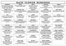 Bach Flower Remedy healing