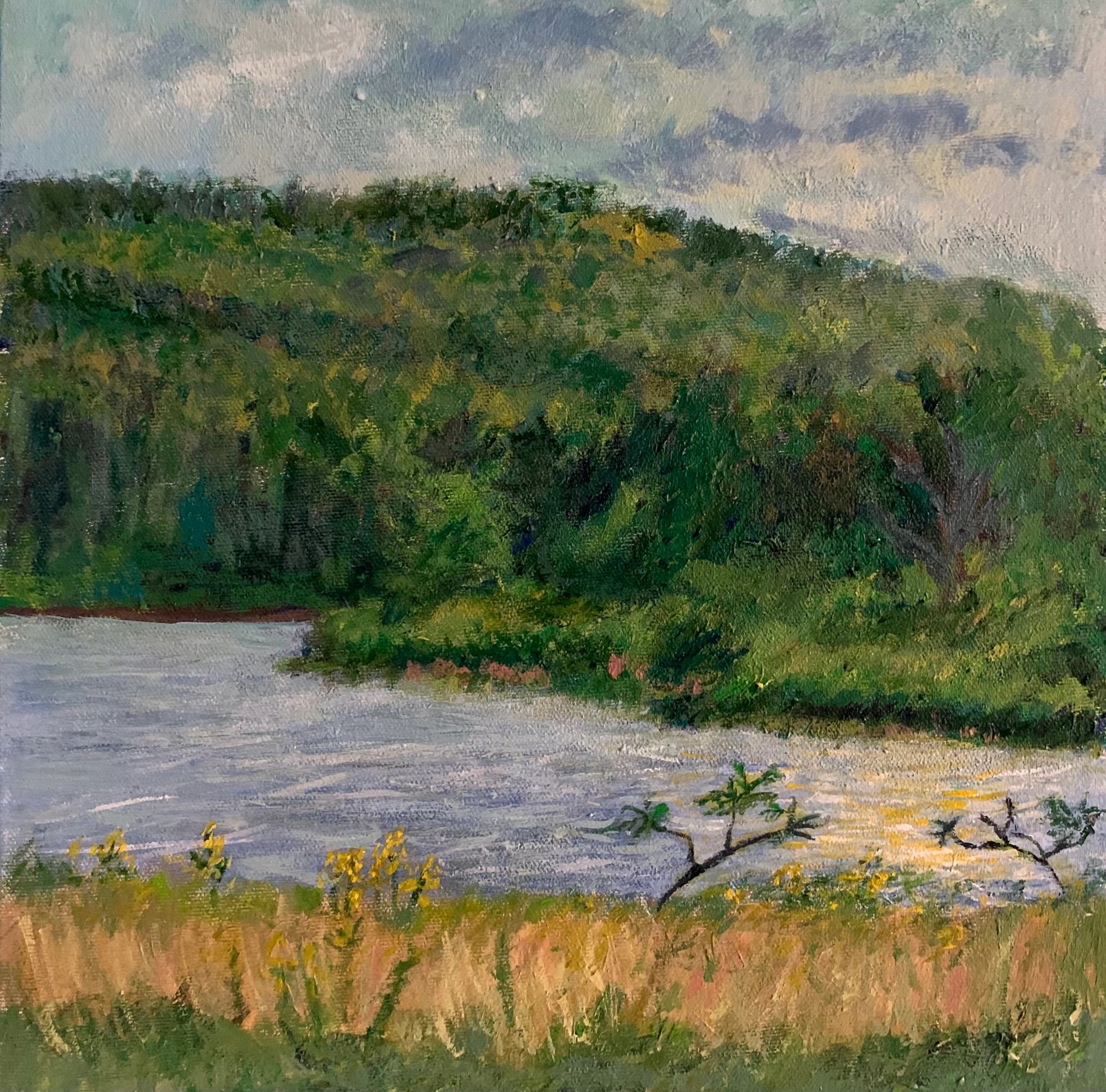 Plein Air Painting Canada Acrylic Original Fine Art Artist Landscape Painter Appalachians Wolastoq