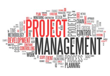 Project Management  includes a focus on processes, planning, control, and excellent methodologies.