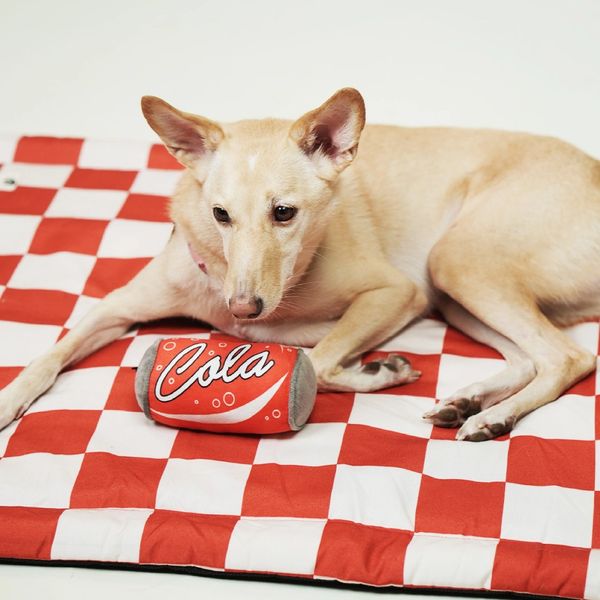 Dog lying on a red and white checkered mat with a plush cola can toy.