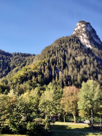 A view of a mountain with trees in the foreground