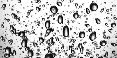 Rain Drops