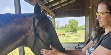 A woman gently strokes a horse's face in a peaceful outdoor setting.