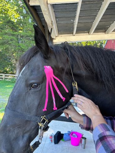 TMJ Taping for support and comfort