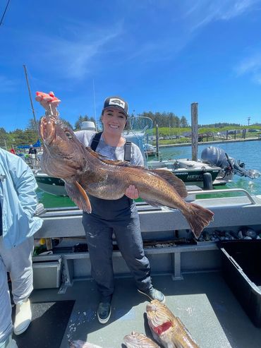 Huge lingcod