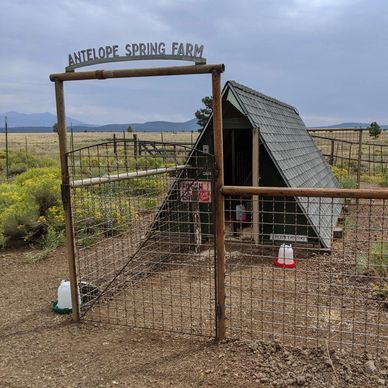 Gated entrance to Antelope Spring Farm with coop.