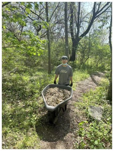 Person pushing a wheelbarrow full of leaves in a forested area.