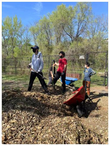 Four people working with wheelbarrows and shovels in a wooded outdoor area.