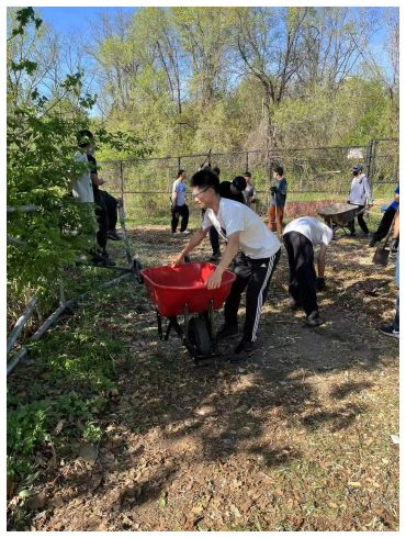 A group of people working outdoors with wheelbarrows and tools.