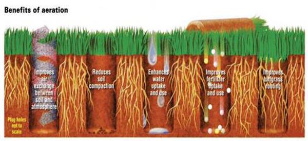 Benefits of aeration