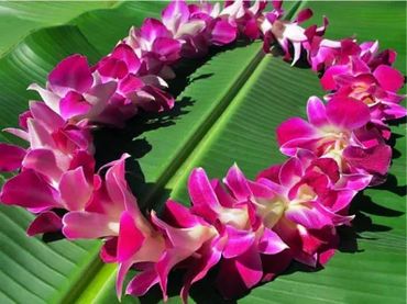 PURPLE SINGLE BOMBAY LEI