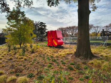 THROUGH THE LENS: PHOTOGRAPHY BY KENDESI MOHAMMED