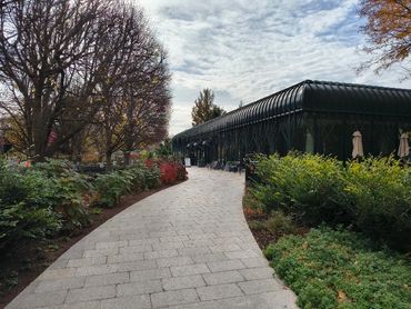 THROUGH THE LENS: PHOTOGRAPHY BY KENDESI MOHAMMED