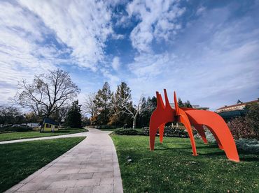 THROUGH THE LENS: PHOTOGRAPHY BY KENDESI MOHAMMED