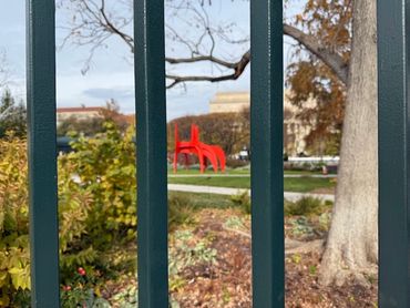 THROUGH THE LENS: PHOTOGRAPHY BY KENDESI MOHAMMED