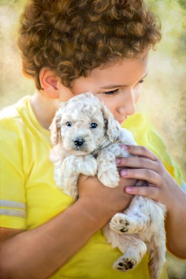 Painting of young curly haired boy in yellow shirt holding tiny puppy with white curly fur
