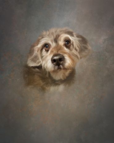 Painting of Schnauzer pet dog, abstract ethereal background