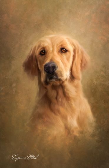 Painting of Golden Retriever head and shoulders on brown abstract