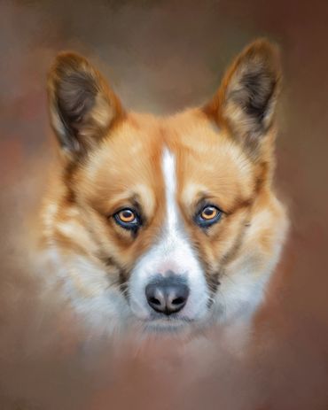Painting of gold and white pet dog with pointy ears, abstract background