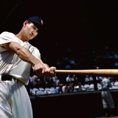 Ted Williams Batting Form