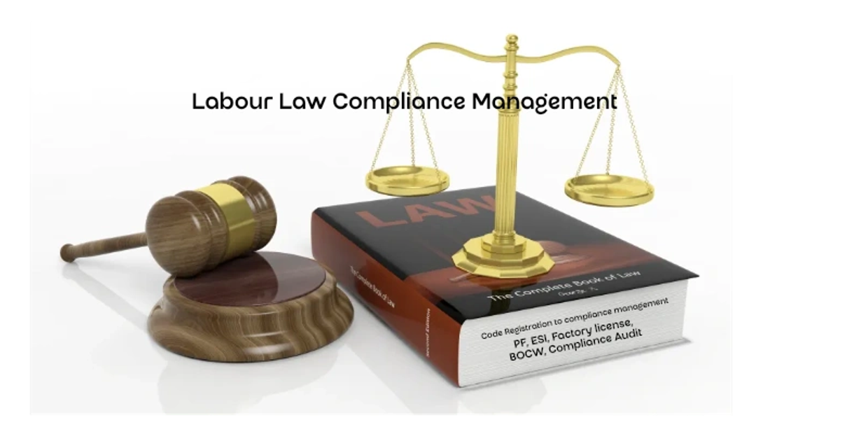 Expert Labour Law consultant in Gujarat