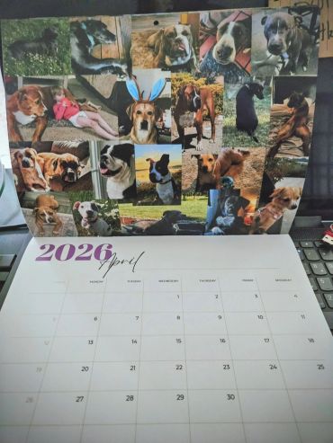 2026 calendar page for April with dog photos.
