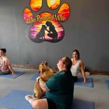 People doing yoga with a dog in a studio.
