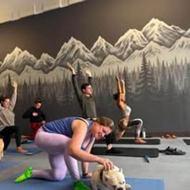 Group yoga session with a dog in a scenic mountain-themed studio.