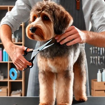 Taglio a forbice personalizzato per cani: precisione e stile in ogni dettaglio del grooming.