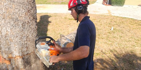Man cutting a tree with a chainsaw, wearing safety gear.