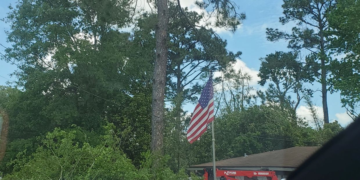 American flag flying on a pole amidst tall trees and a blue sky.