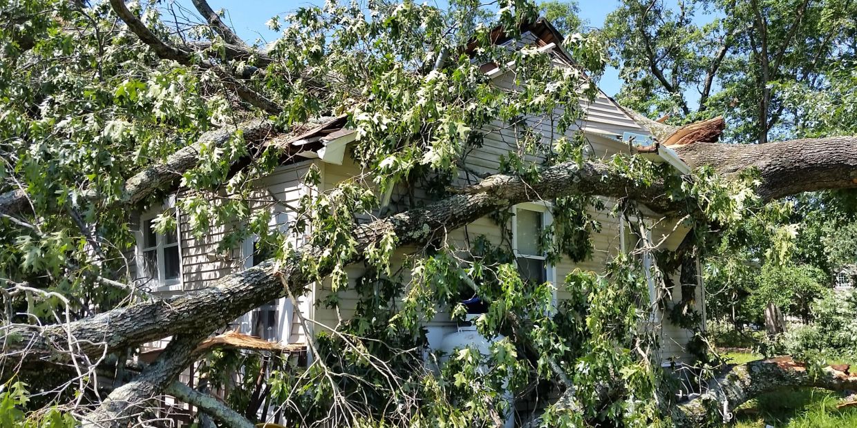 Large tree fallen on house causing damage.