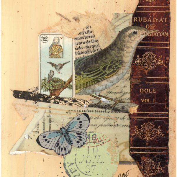 Collage featuring a bird, butterfly, and book spine.
