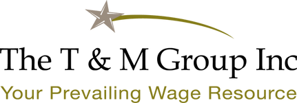 The T&M Group Inc