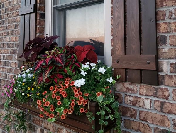 Custom flower box and shutters