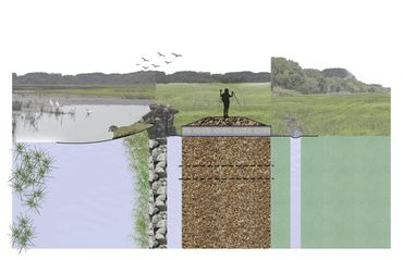 Existing conditions section cut through Colman Lake to Nine Mile Creek.