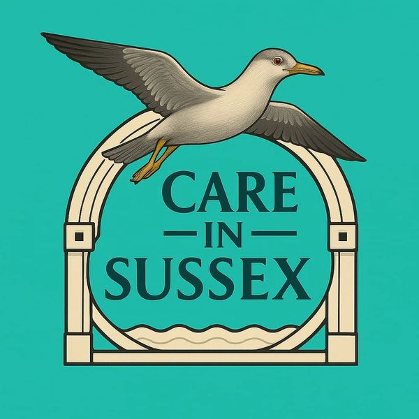 Care in Sussex home care logo, teal in colour and with a seagull.
