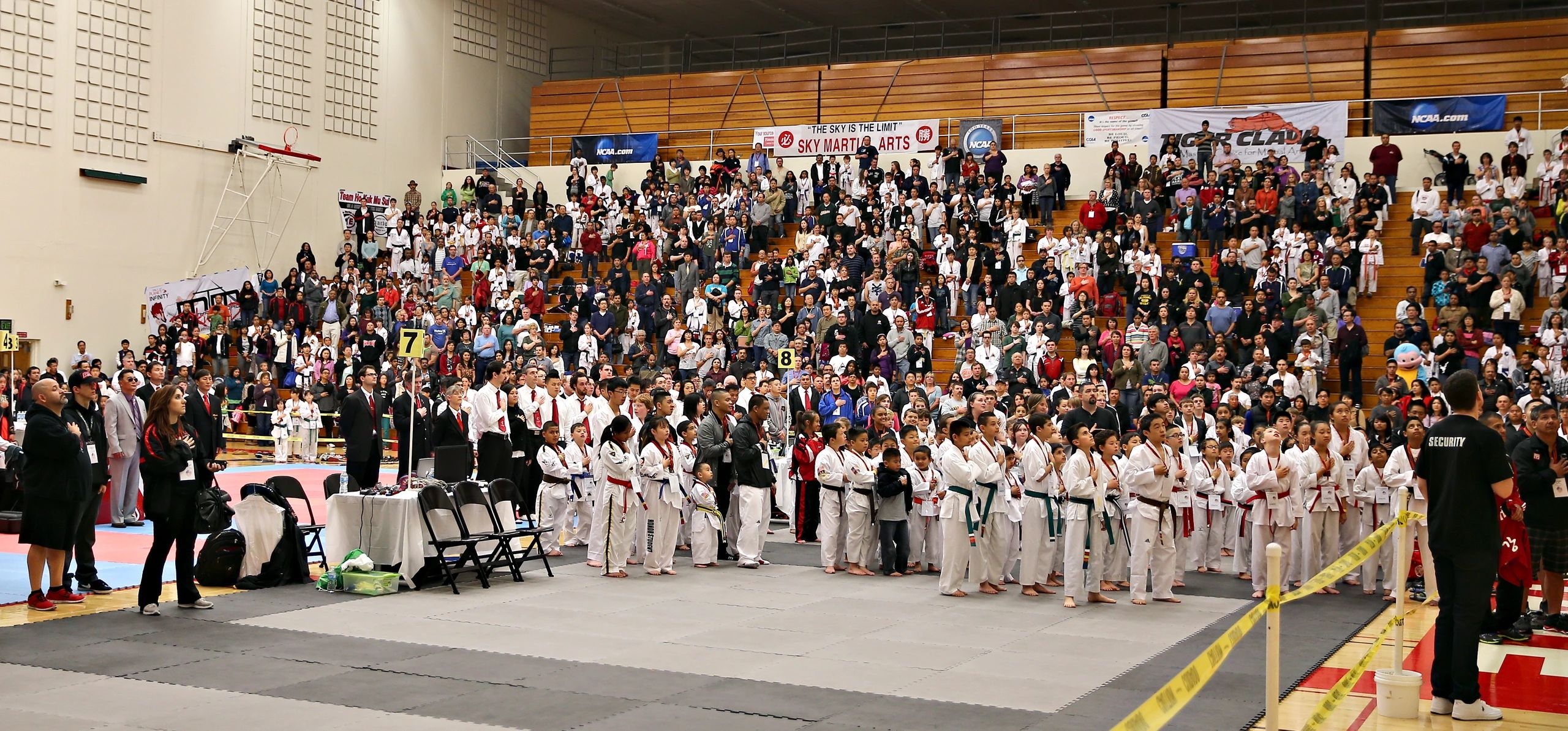 american-taekwondo-open-championship