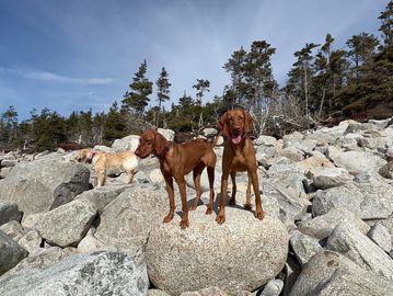 some pack walk members...