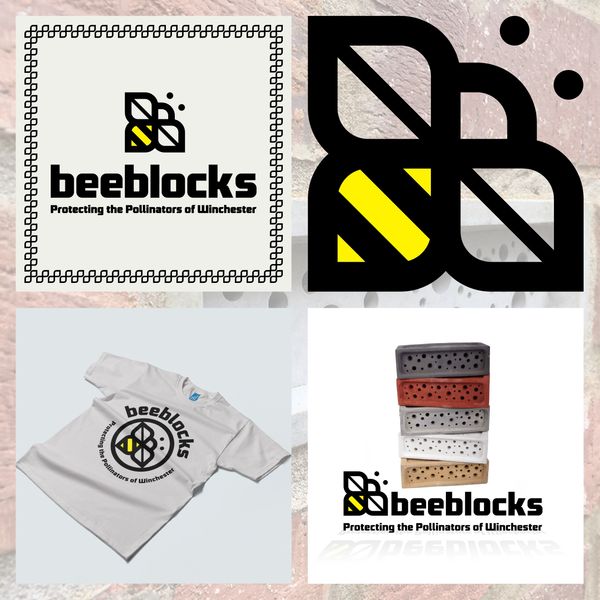 A case study of design elements for Beeblocks, including a logo design, colour palette, Mocks ups an