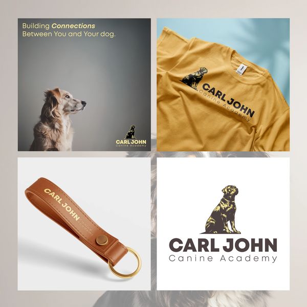 A case study of design elements for Carl John, including a logo design, colour palette, Mocks ups an