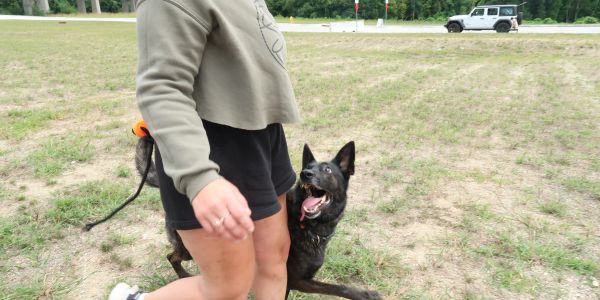 Dog playing with a woman outdoors.