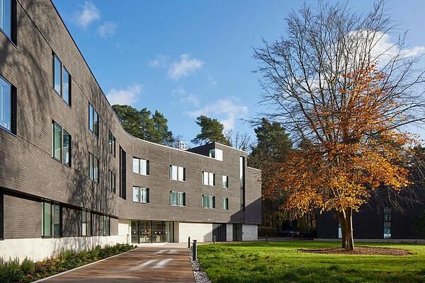 Modern building with autumn tree and clear sky.