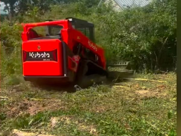 No matter how thick the brush is we can get it done.