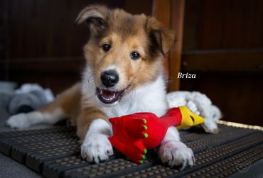 Bilder 7.woche ,teilweise von der lieben Sonja Wahl