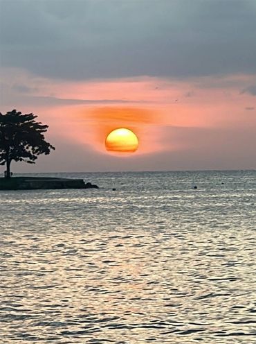 A vibrant sunset over a calm sea
Things to to Jamaica Bird is the Word Boat