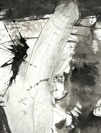 Drawings of the male penis.