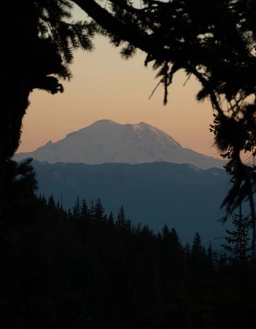 mount rainier in washington, framed by pine trees. ready to be printed and hung as wall art